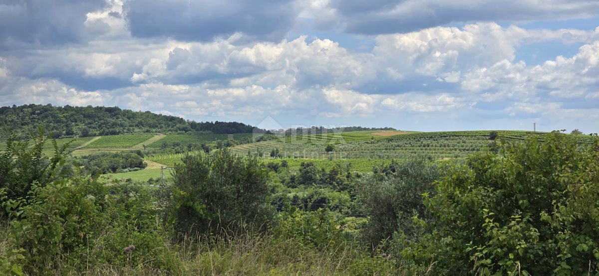 ISTRA, BUJE - Gradbeno zemljišče na robu gradbenega območja, panoramski razgled