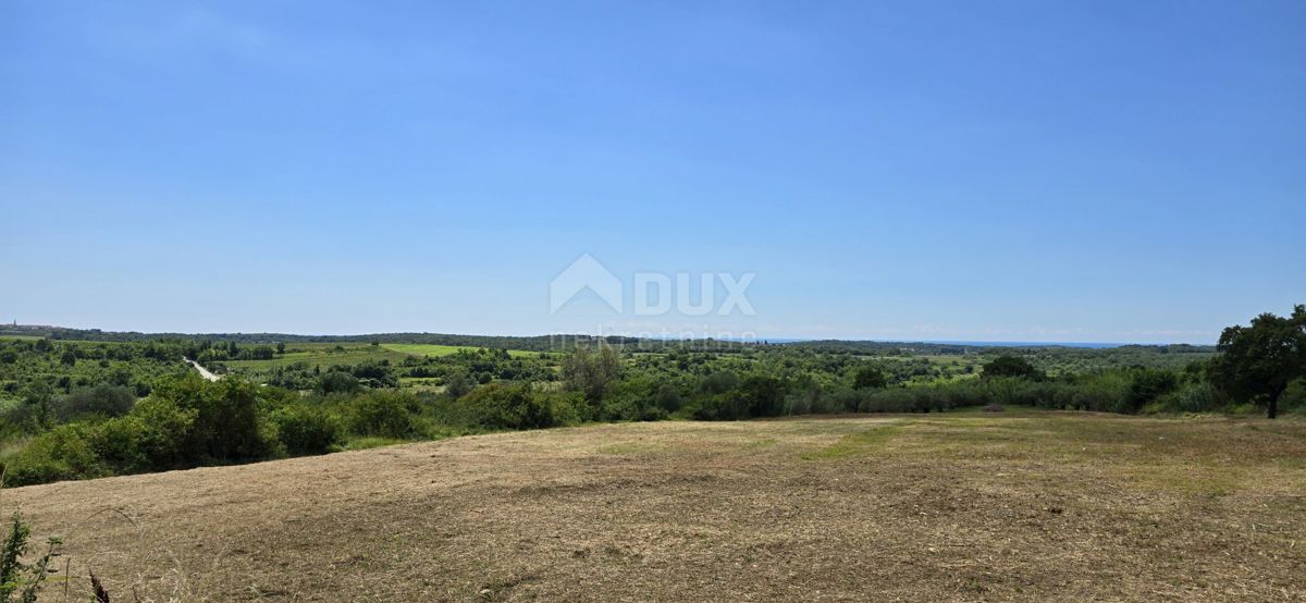 ISTRA, BUJE - Gradbeno zemljišče na robu gradbenega območja, panoramski razgled