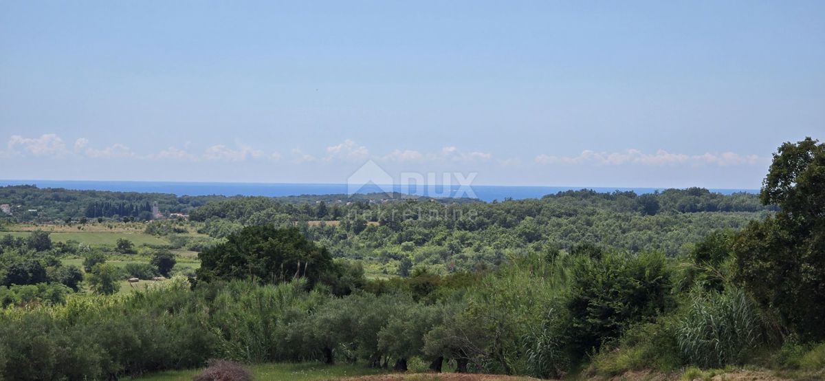 ISTRA, BUJE - Gradbeno zemljišče na robu gradbenega območja, panoramski razgled