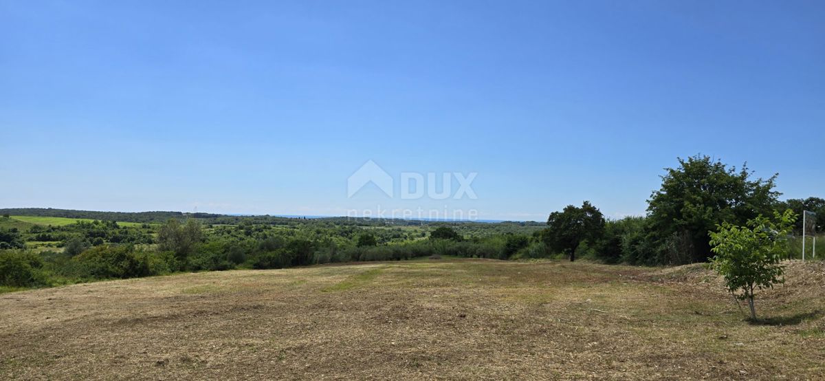 ISTRA, BUJE - Gradbeno zemljišče na robu gradbenega območja, panoramski razgled