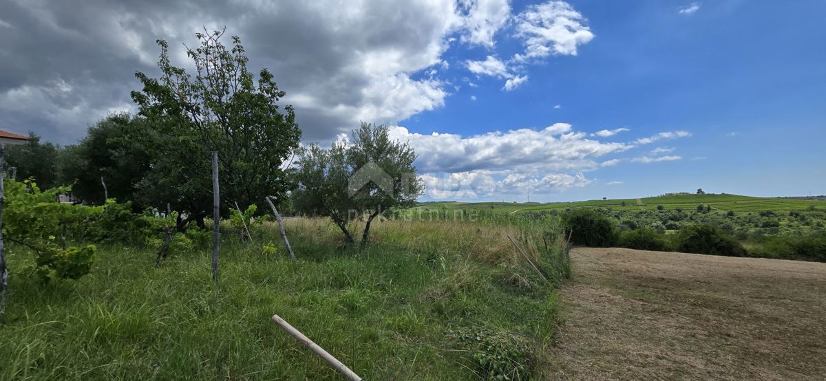 ISTRA, BUJE - Gradbeno zemljišče na robu gradbenega območja, panoramski razgled