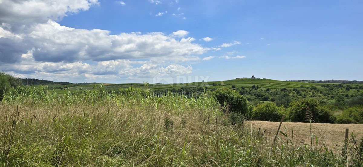 ISTRA, BUJE - Gradbeno zemljišče na robu gradbenega območja, panoramski razgled