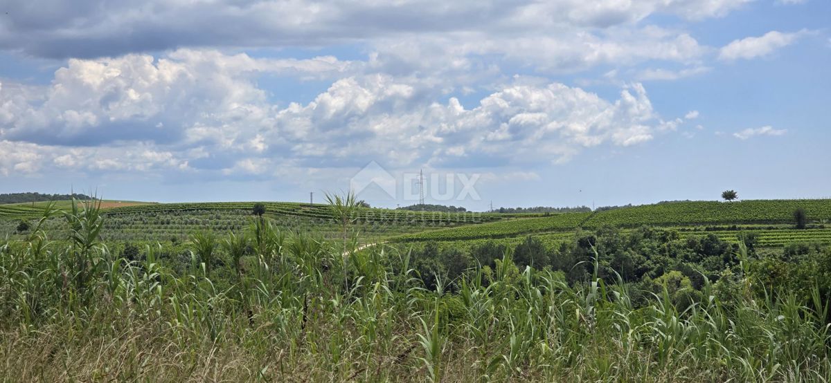 ISTRA, BUJE - Gradbeno zemljišče na robu gradbenega območja, panoramski razgled