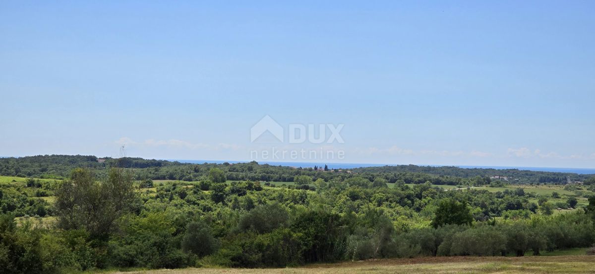 ISTRA, BUJE - Gradbeno zemljišče na robu gradbenega območja, panoramski razgled