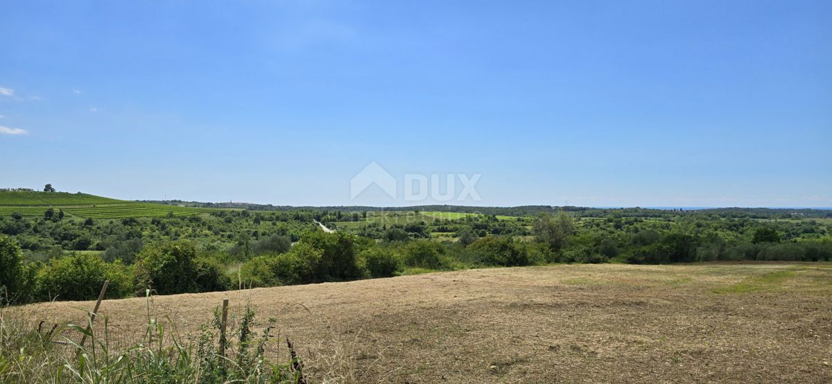 ISTRA, BUJE - Gradbeno zemljišče na robu gradbenega območja, panoramski razgled