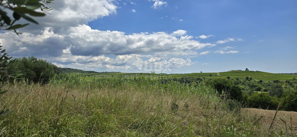 ISTRA, BUJE - Gradbeno zemljišče na robu gradbenega območja, panoramski razgled