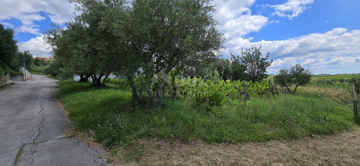 ISTRA, BUJE - Gradbeno zemljišče na robu gradbenega območja, panoramski razgled