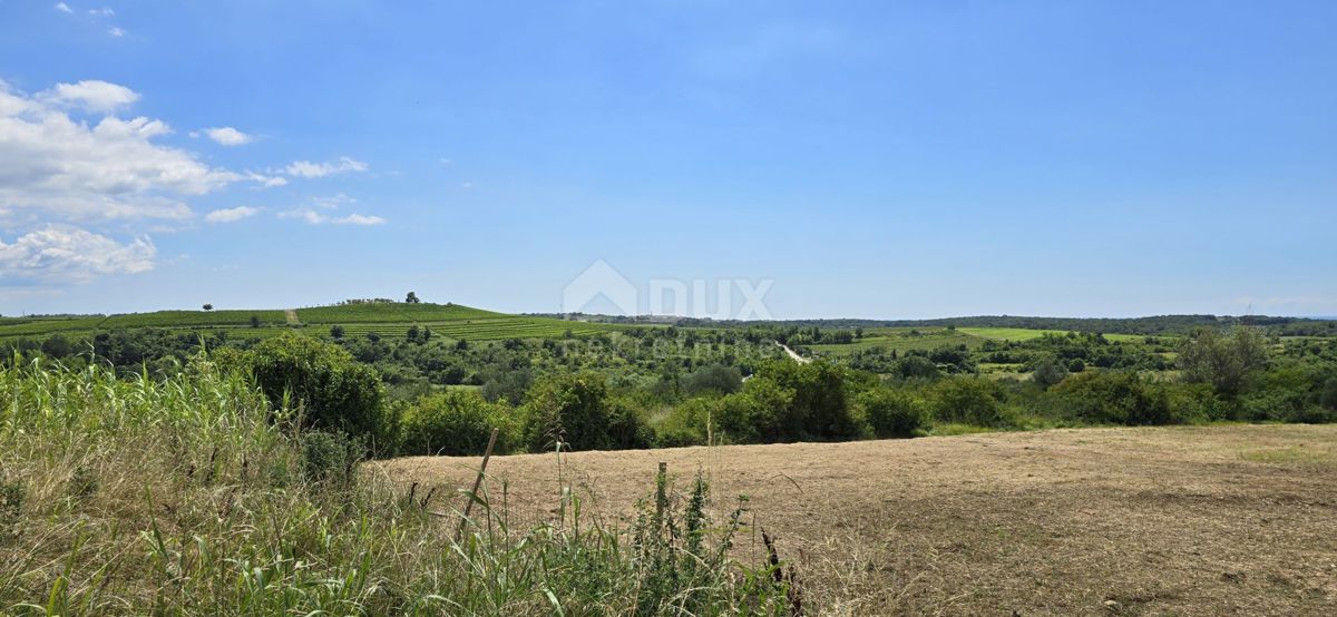 ISTRA, BUJE - Gradbeno zemljišče na robu gradbenega območja, panoramski razgled