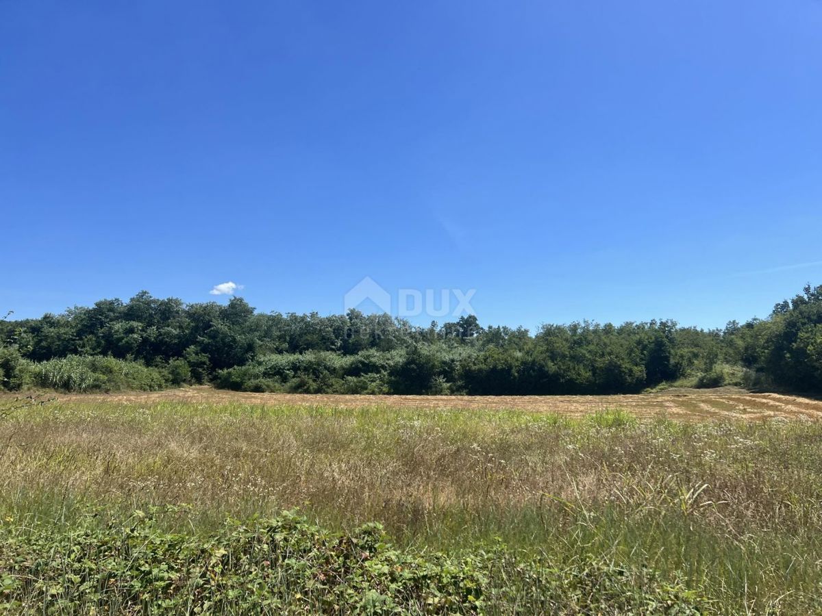 ISTRA, BADERNA - Kmetijsko zemljišče v naravi gozd