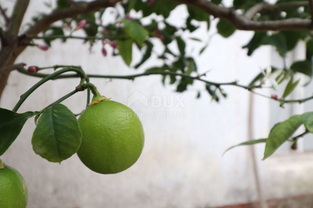 ISTRA, PULA - Lepa hiša z dvoriščem in garažo