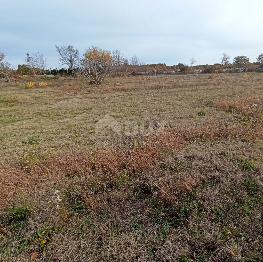 ISTRA, ŠTOKOVCI - Lepo gradbeno zemljišče 700 m2