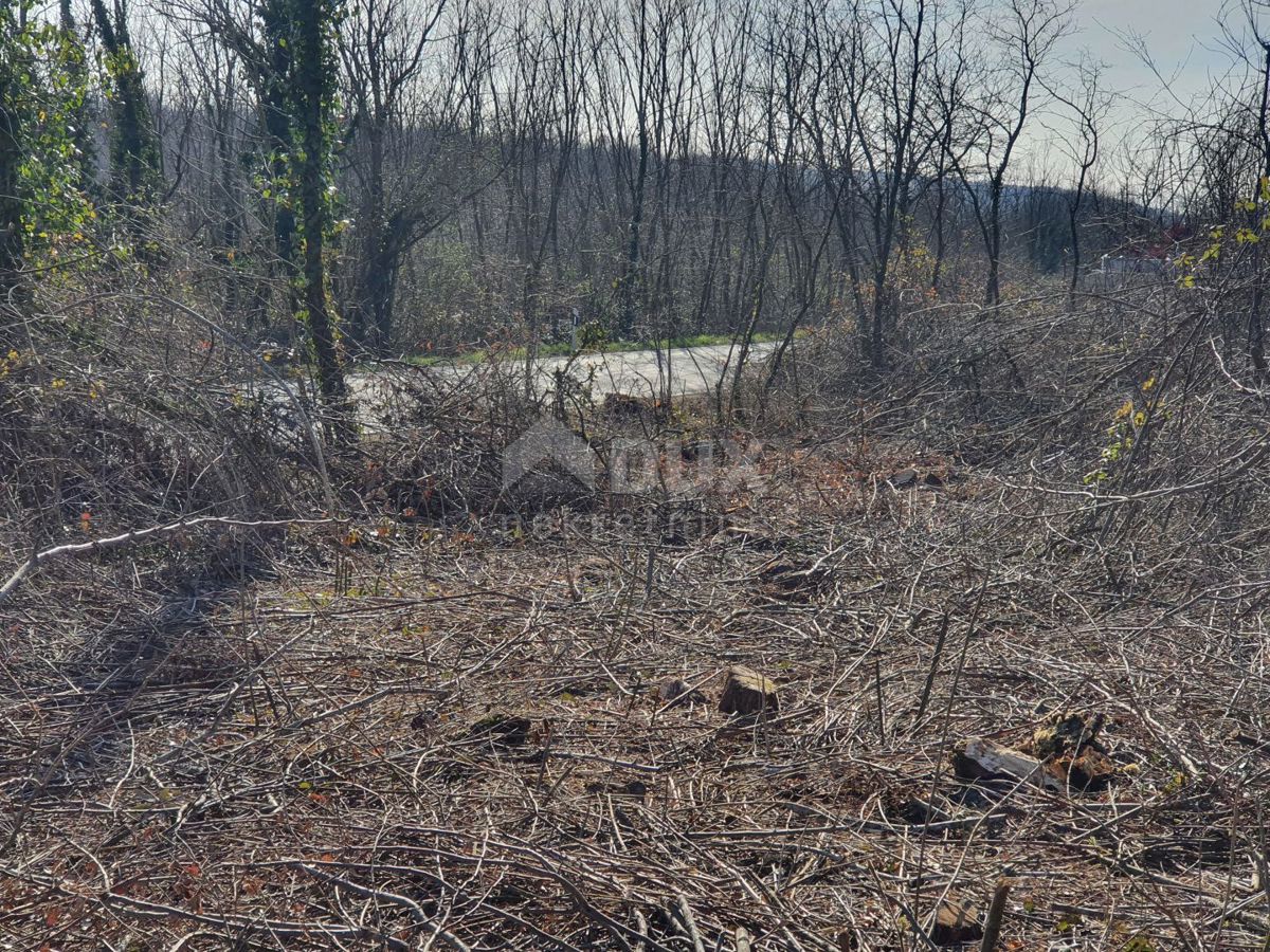 ISTRA, KAROJBA - Gradbena parcela na odlični lokaciji