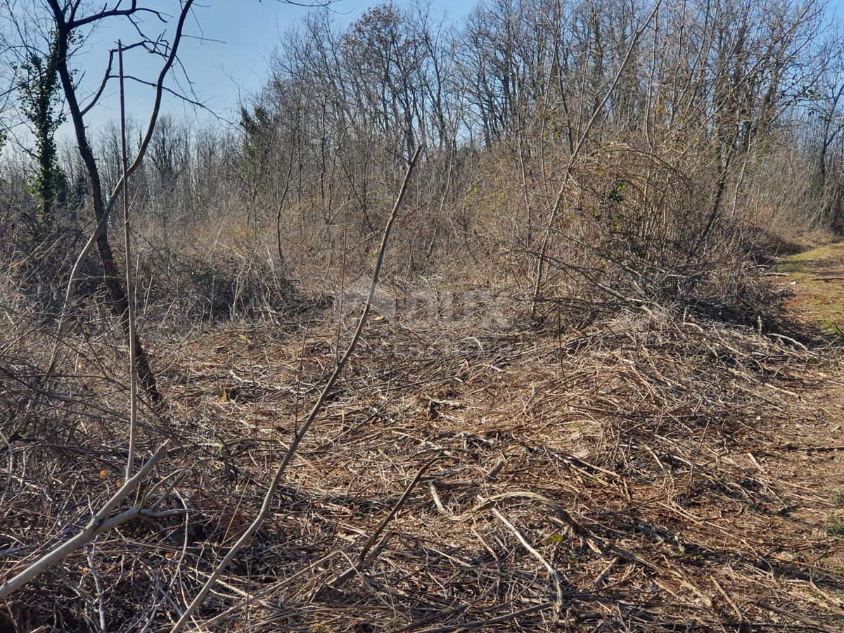 ISTRA, KAROJBA - Gradbena parcela na odlični lokaciji