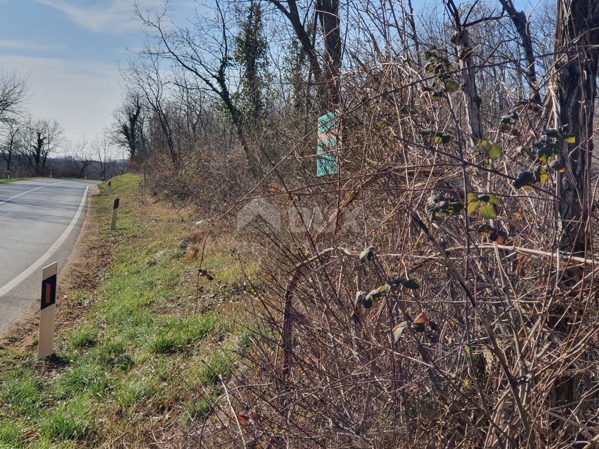 ISTRA, KAROJBA - Gradbena parcela na odlični lokaciji