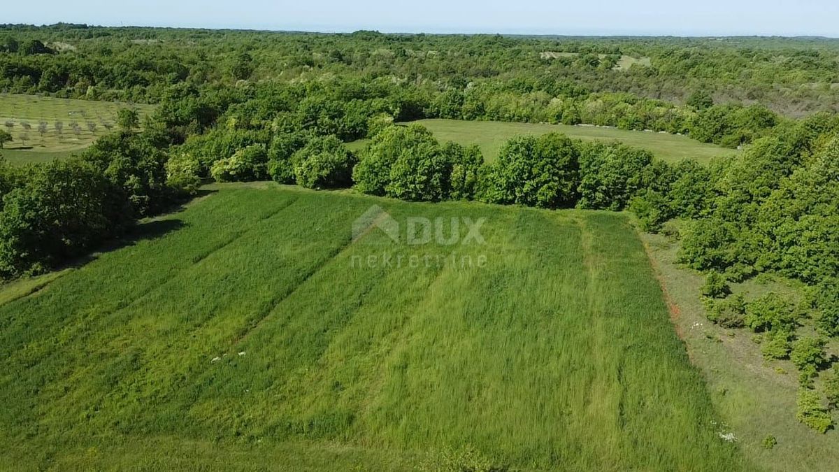 ISTRA, SVETVINČENAT - Pritličje s pogledom na zelenico! PRILOŽNOST!