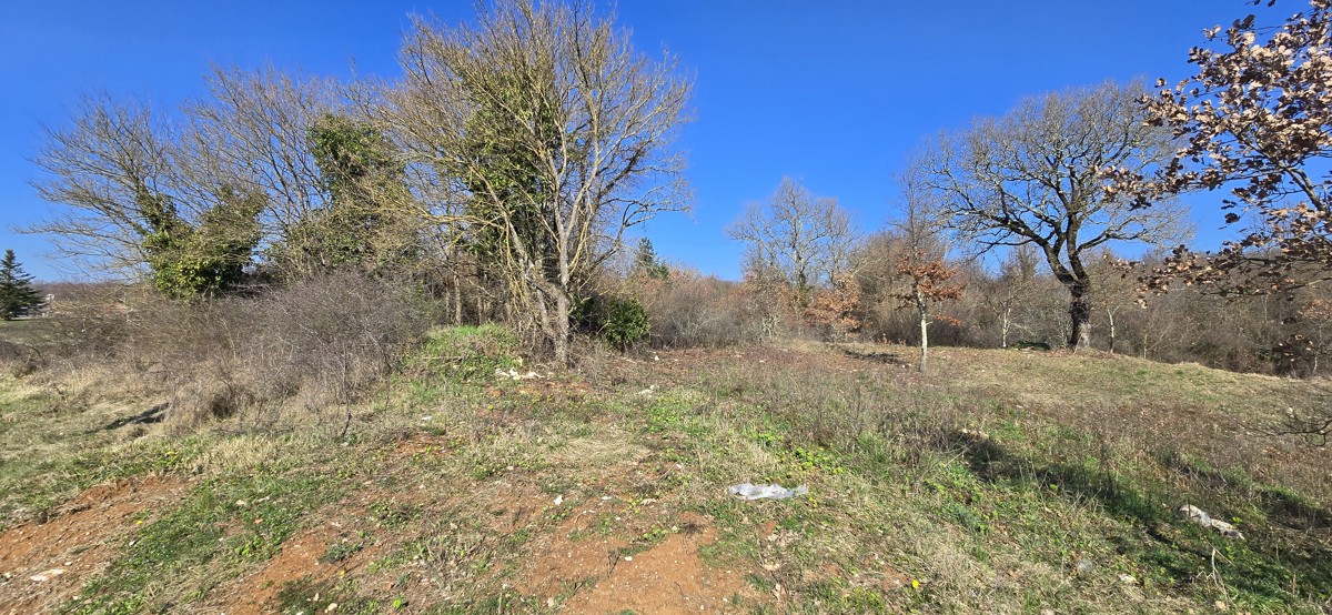 ISTRA, SVETA KATARINA, PIĆAN - zazidljivo zemljišče 1855m2 