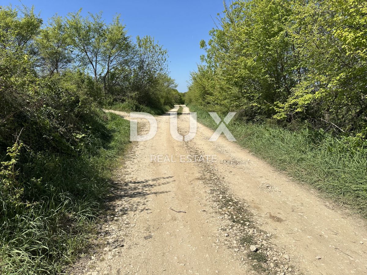 ZADAR, MURVICA - Kmetijsko zemljišče s potencialom - 3000m²