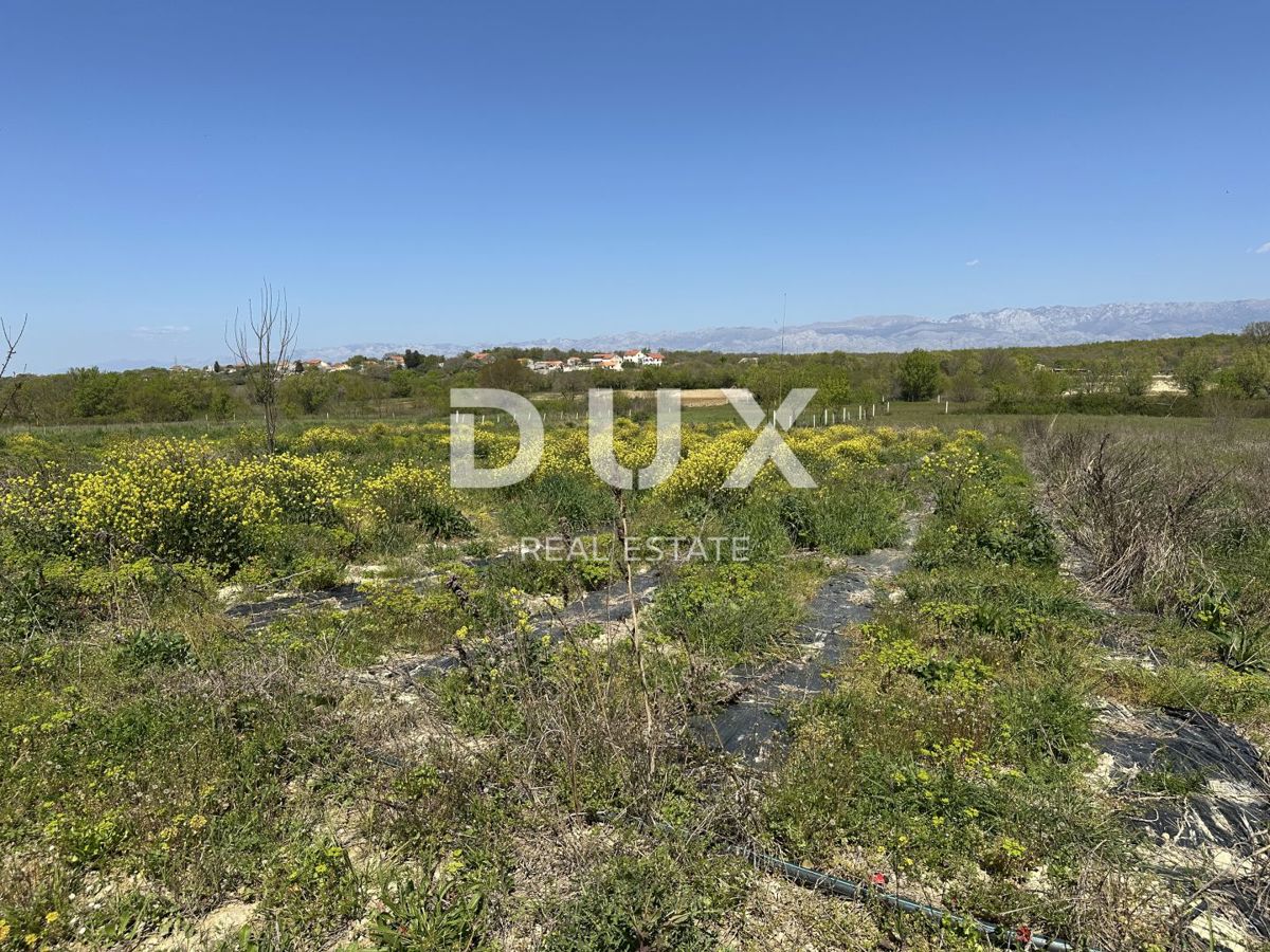 ZADAR, MURVICA - Kmetijsko zemljišče s potencialom - 3000m²