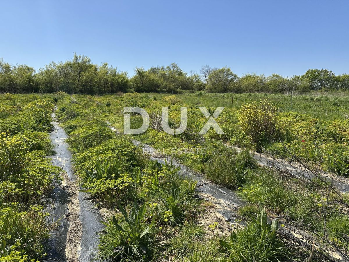 ZADAR, MURVICA - Kmetijsko zemljišče s potencialom - 3000m²