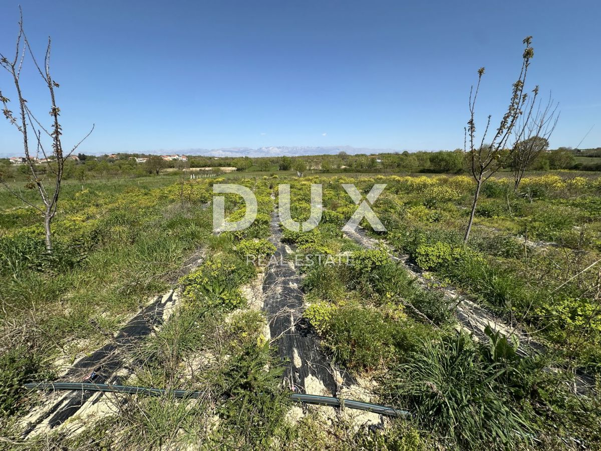 ZADAR, MURVICA - Kmetijsko zemljišče s potencialom - 3000m²