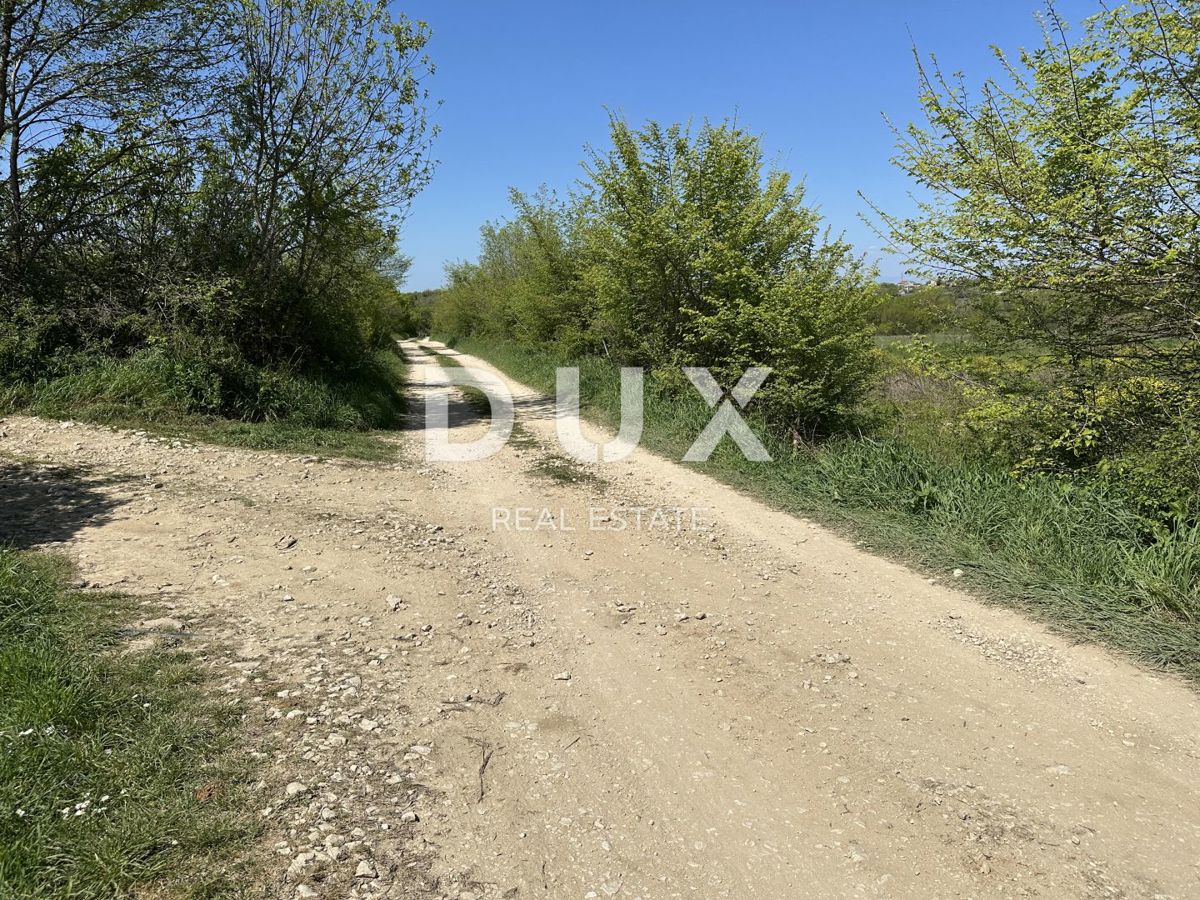 ZADAR, MURVICA - Kmetijsko zemljišče s potencialom - 3000m²