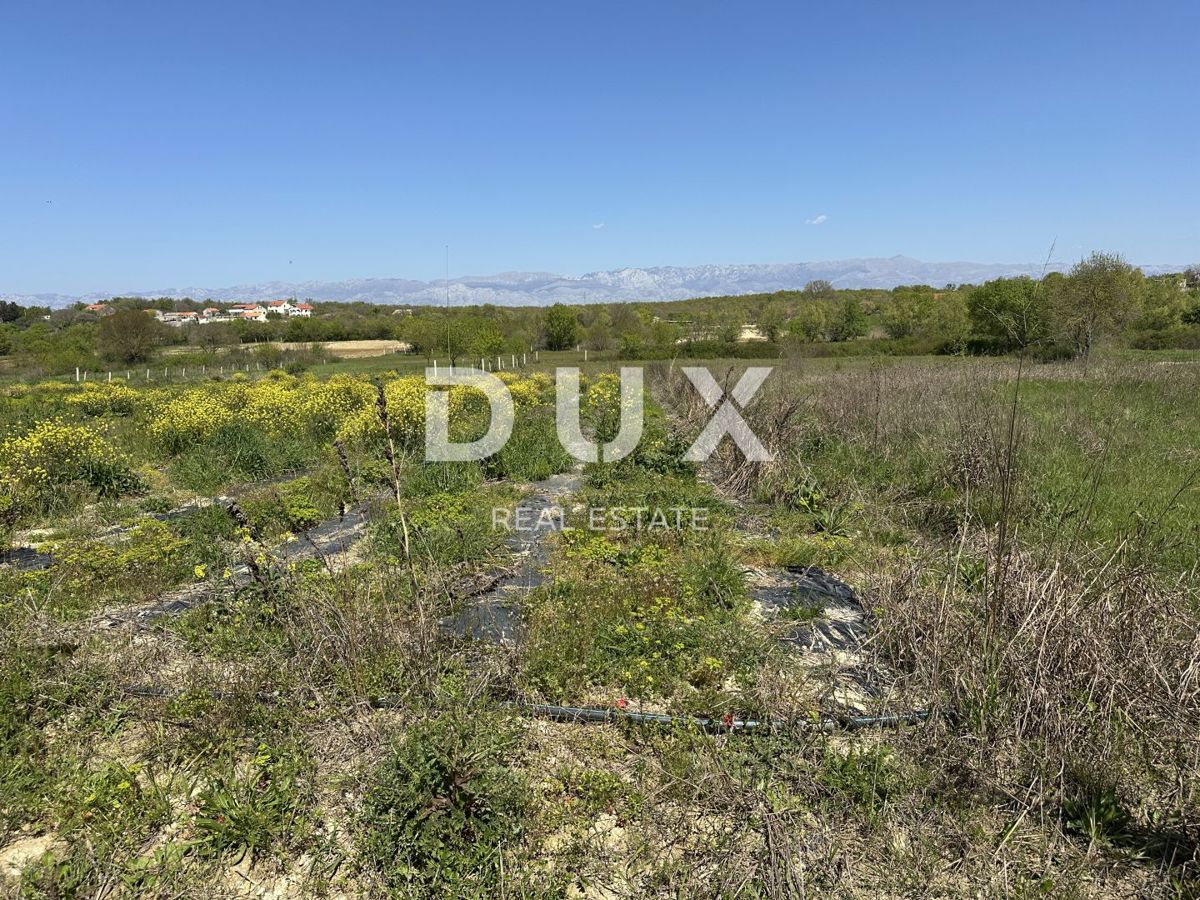 ZADAR, MURVICA - Kmetijsko zemljišče s potencialom - 3000m²