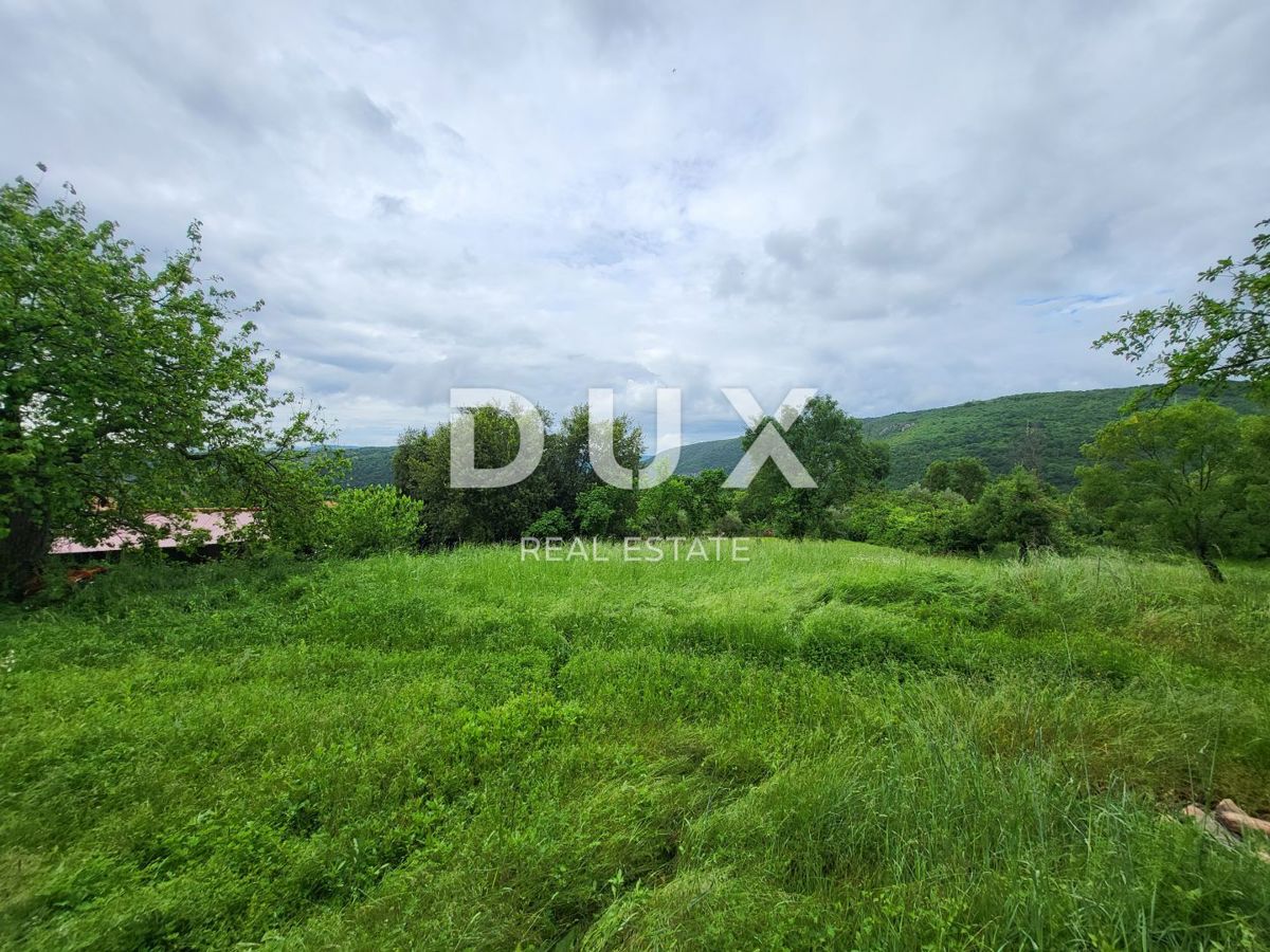 ISTRA, BUZET - Kmetijska zemljišča