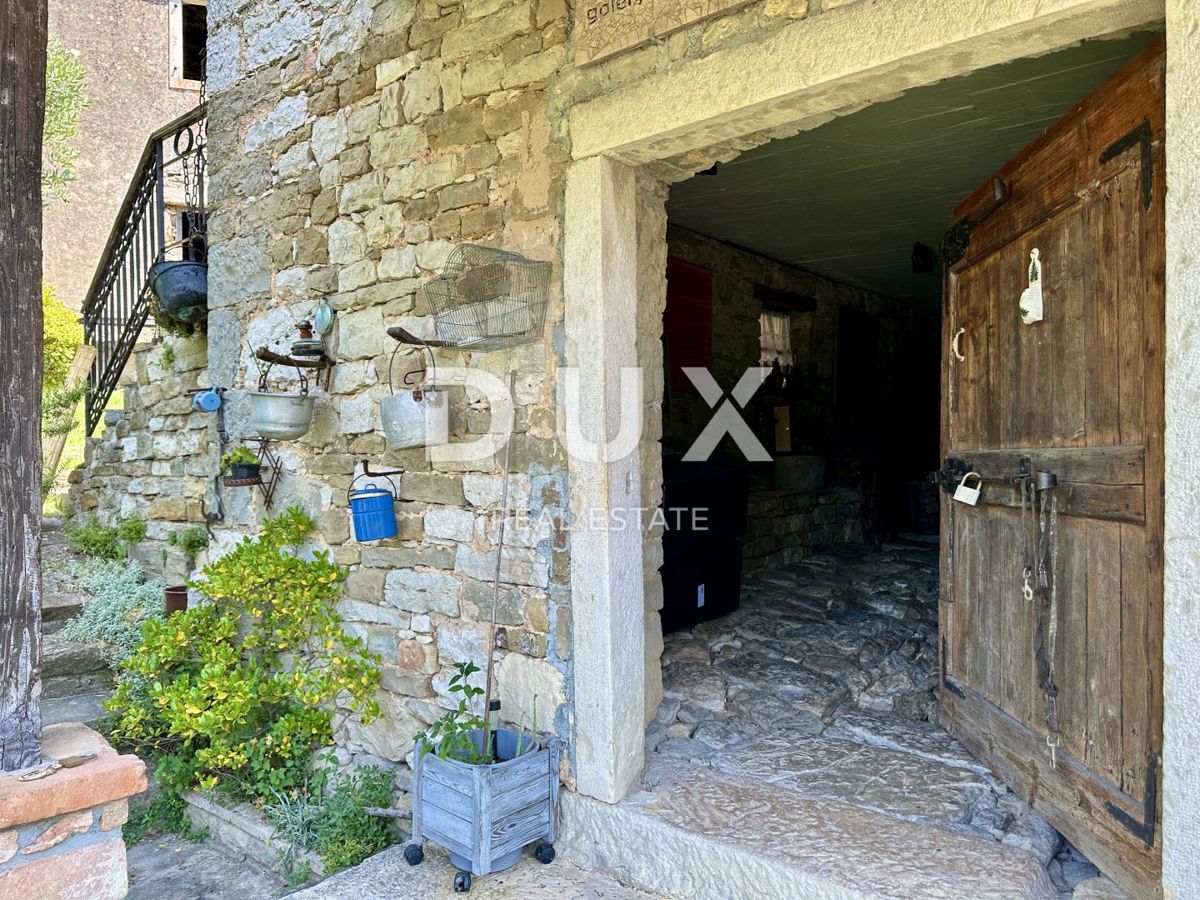 ISTRA, BUJE - NOVO - Umetnikova hiša s panoramskim razgledom