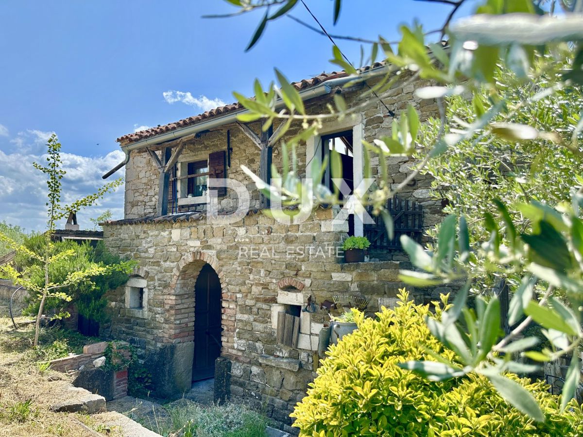 ISTRA, BUJE - NOVO - Umetnikova hiša s panoramskim razgledom