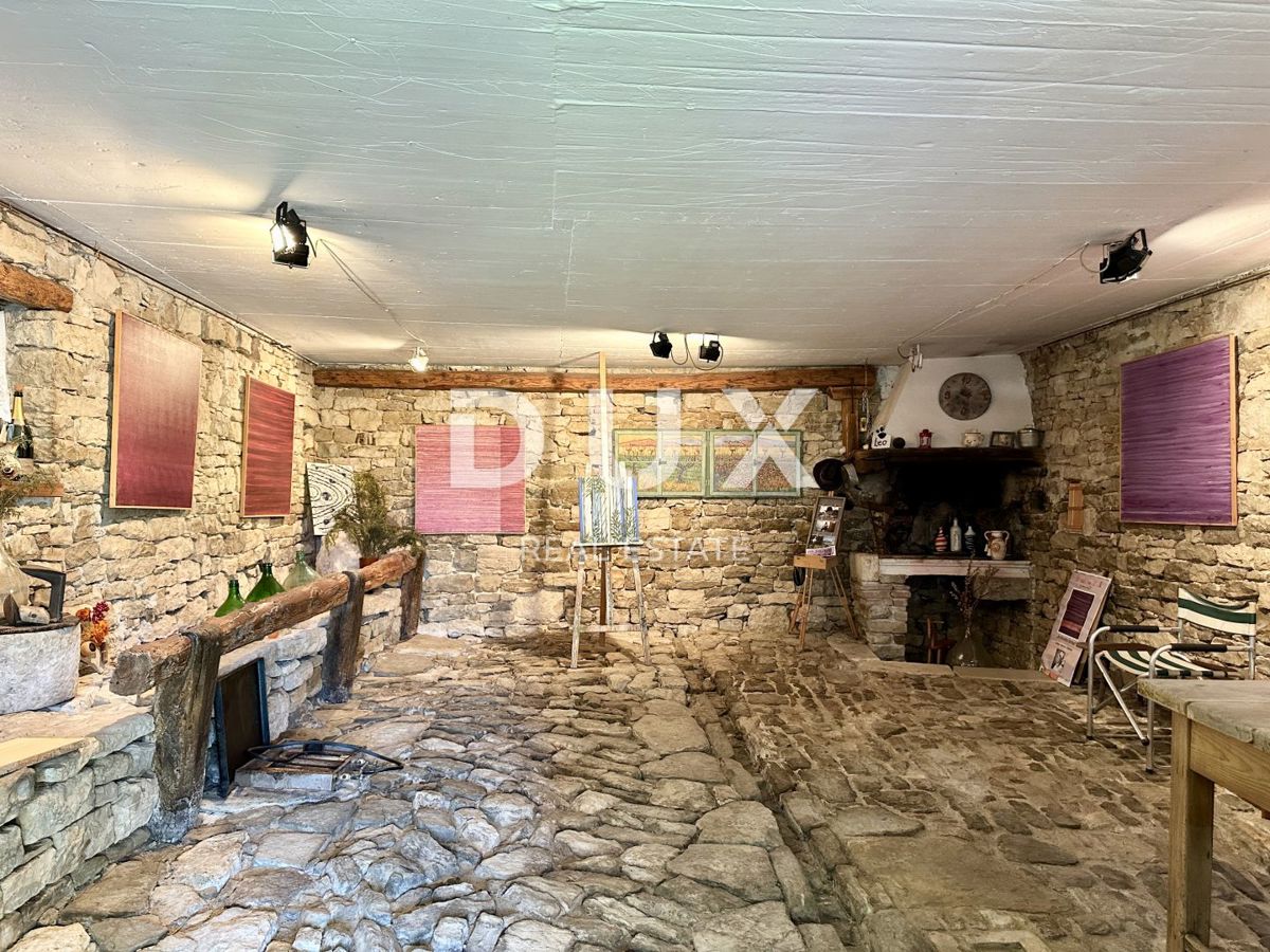 ISTRA, BUJE - NOVO - Umetnikova hiša s panoramskim razgledom