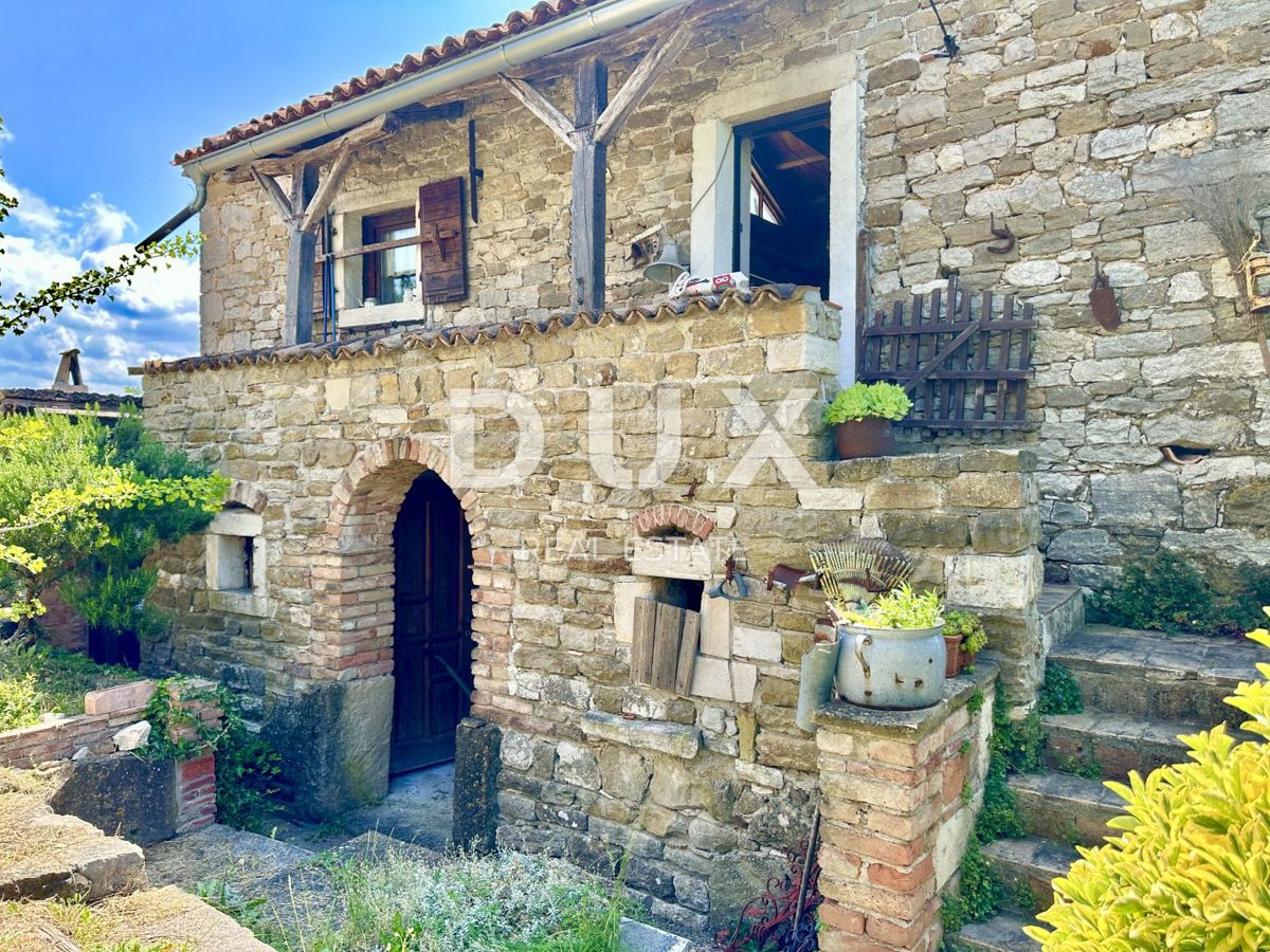 ISTRA, BUJE - NOVO - Umetnikova hiša s panoramskim razgledom