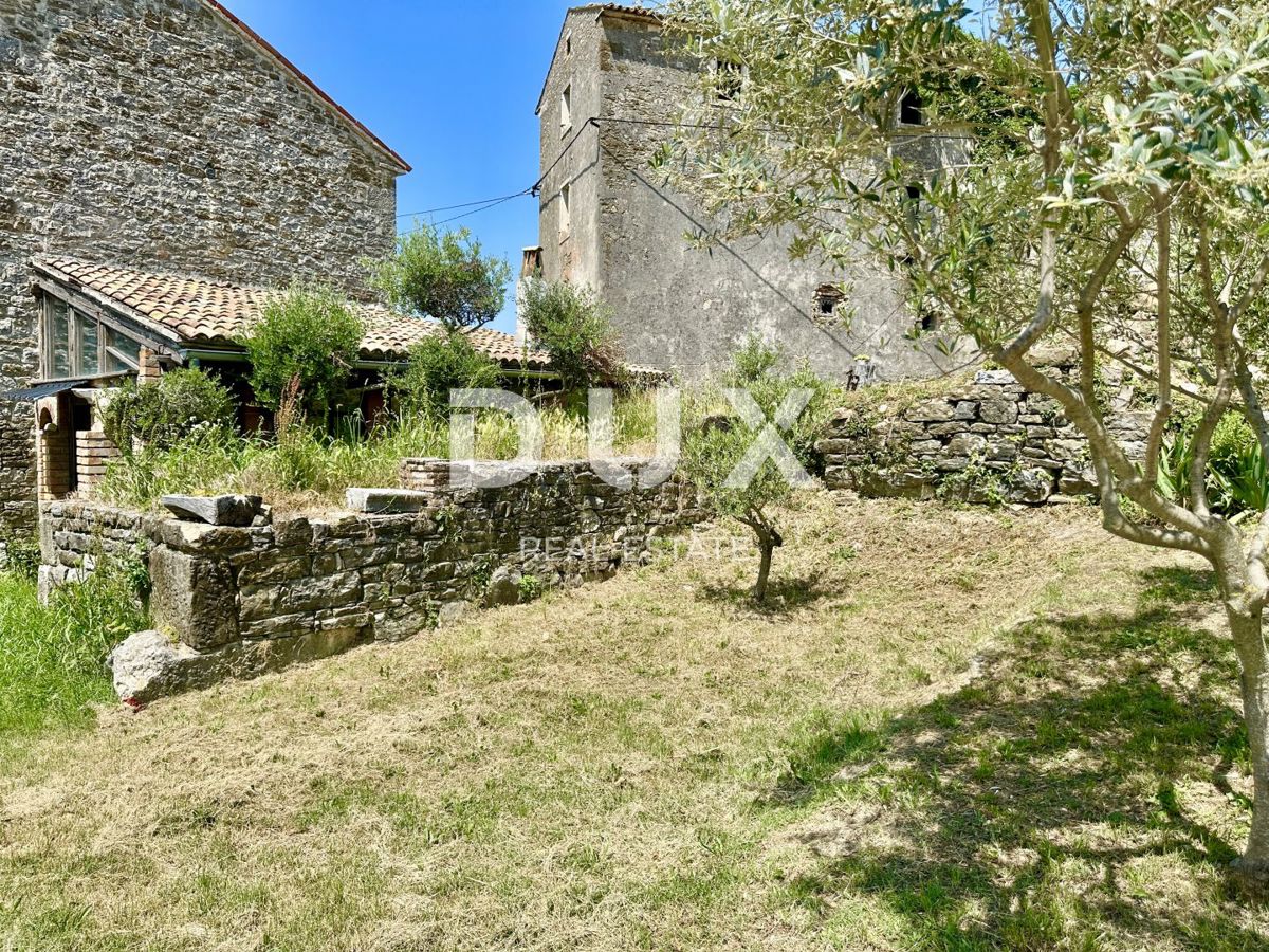 ISTRA, BUJE - NOVO - Umetnikova hiša s panoramskim razgledom