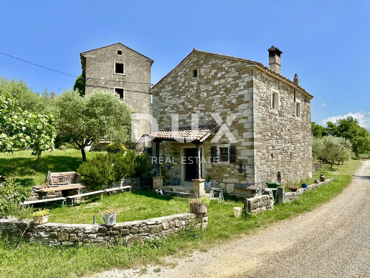 ISTRA, BUJE - NOVO - Umetnikova hiša s panoramskim razgledom