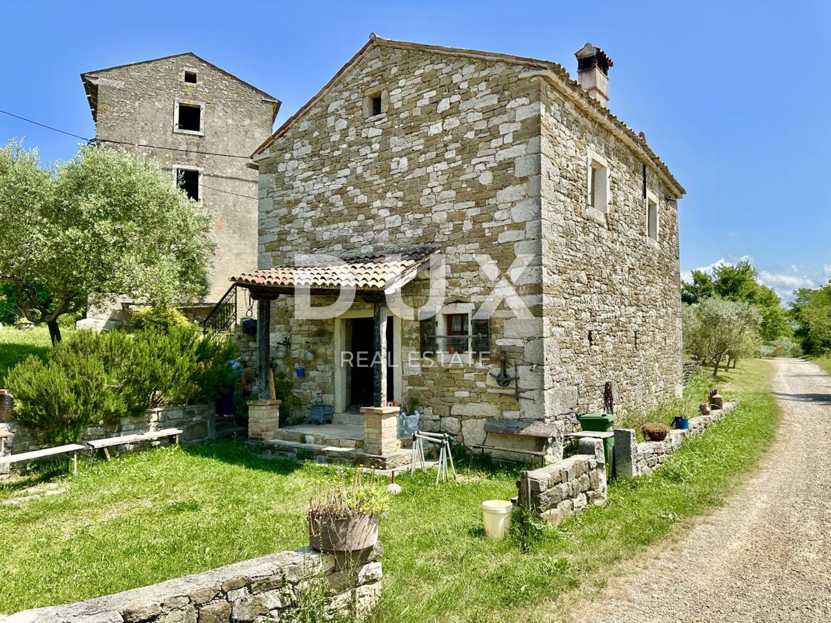 ISTRA, BUJE - NOVO - Umetnikova hiša s panoramskim razgledom