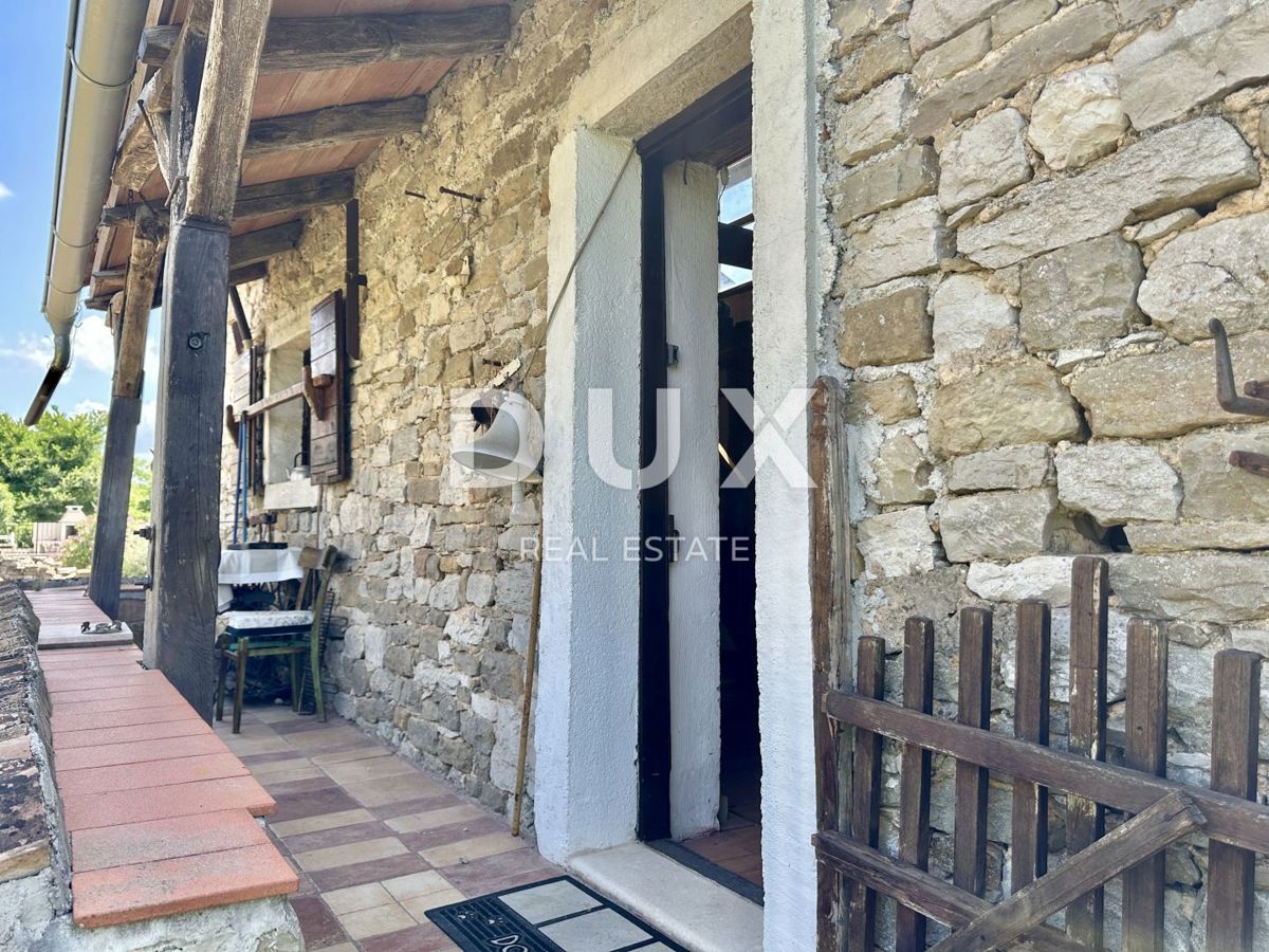 ISTRA, BUJE - NOVO - Umetnikova hiša s panoramskim razgledom