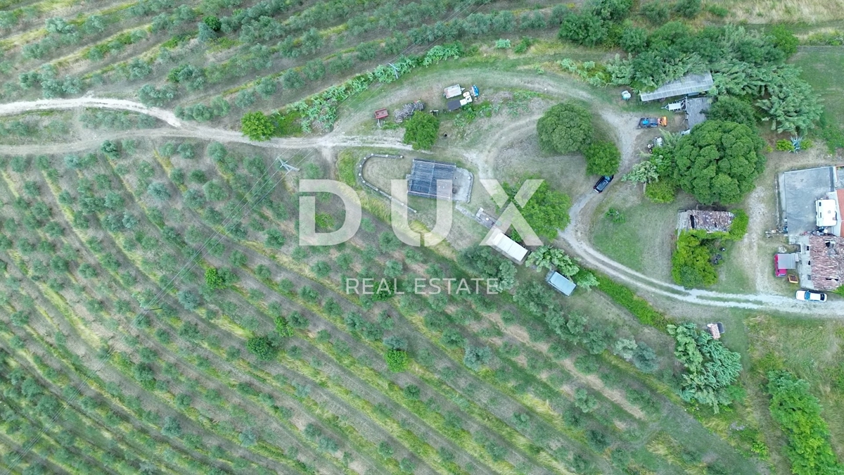 ISTRA, MOTOVUN - Čudovita investicijska priložnost v osrčju Istre, zemljišče s kamnito stavbo