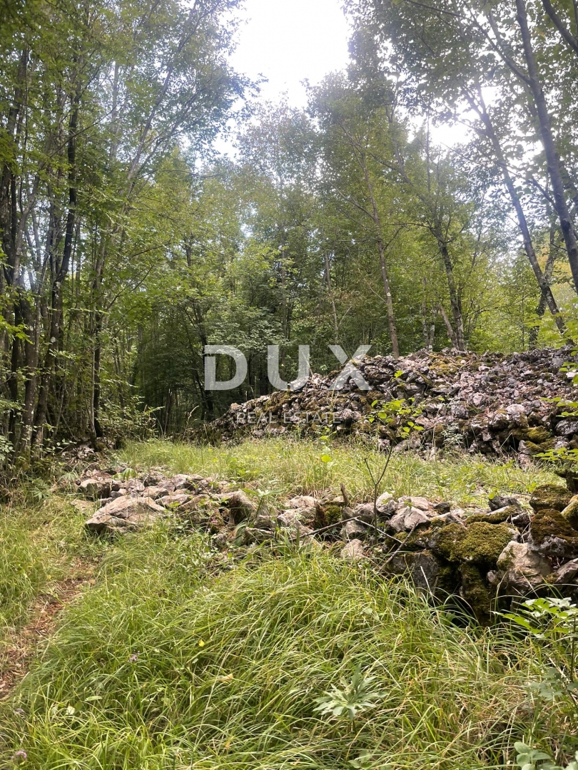 Zemljišče Marčelji, Viškovo, 10.317m2
