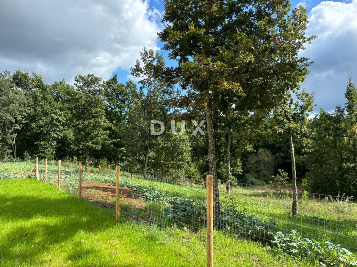 ISTRA, PAZIN - Čarobna mediteranska vila s pogledom na naravo - novogradnja! Edinstven slog!