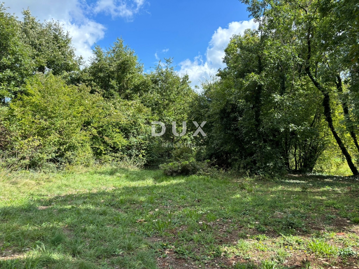 ISTRA, Gračišće (okolica) - Gradbeno zemljišče z zasebnostjo in veliko zelenja!