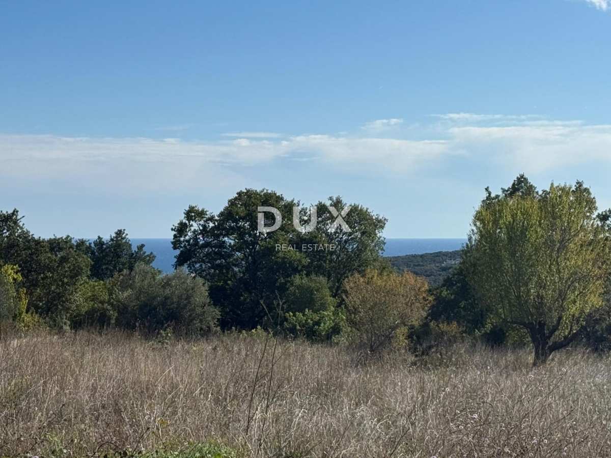 ISTRA, PERUŠKI - Gradbeno zemljišče s pogledom na morje