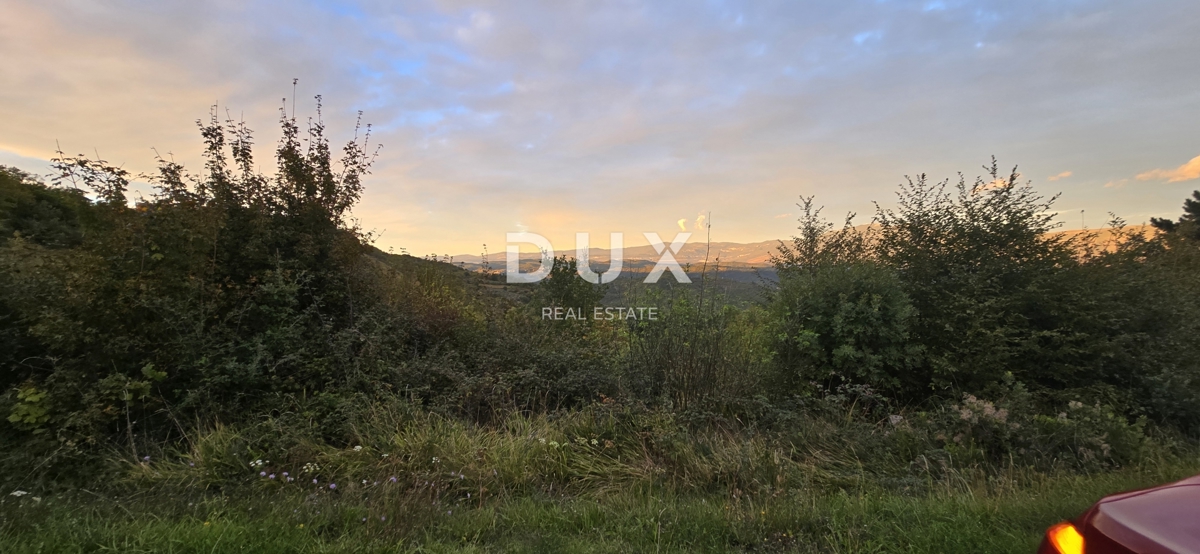 ISTRA, GRAČIŠĆE - Kmetijska zemljišča ob glavni cesti