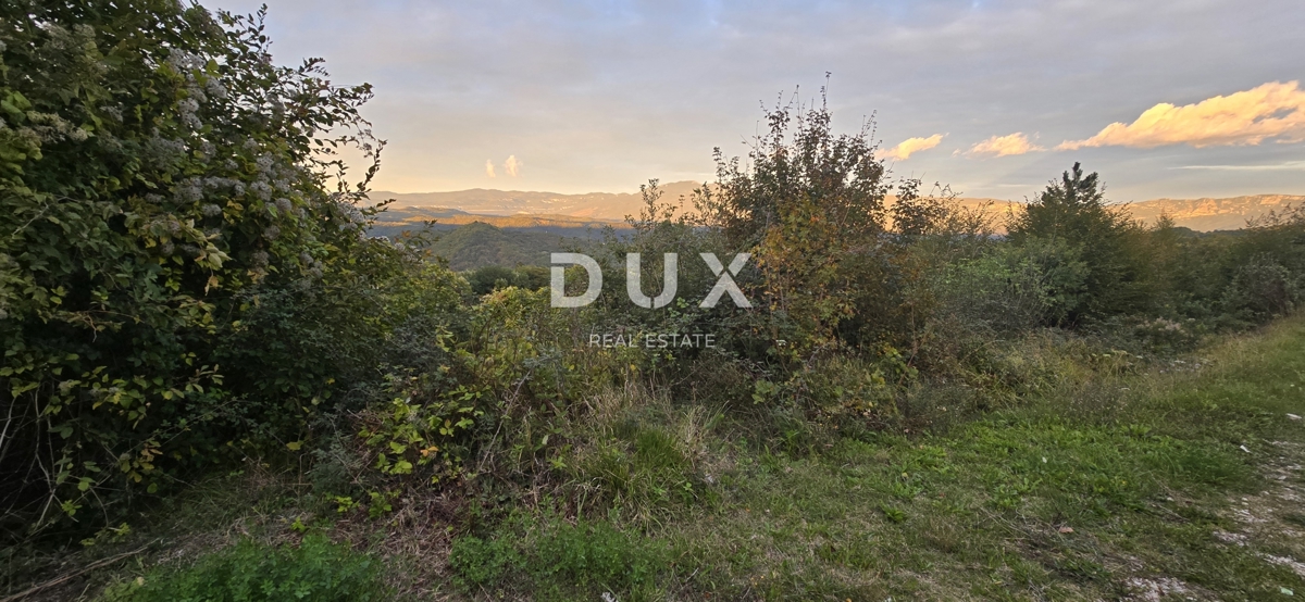 ISTRA, GRAČIŠĆE - Kmetijska zemljišča ob glavni cesti