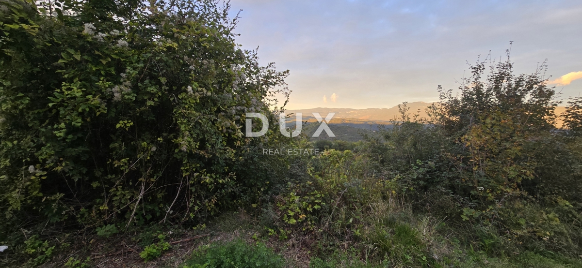 ISTRA, GRAČIŠĆE - Kmetijska zemljišča ob glavni cesti