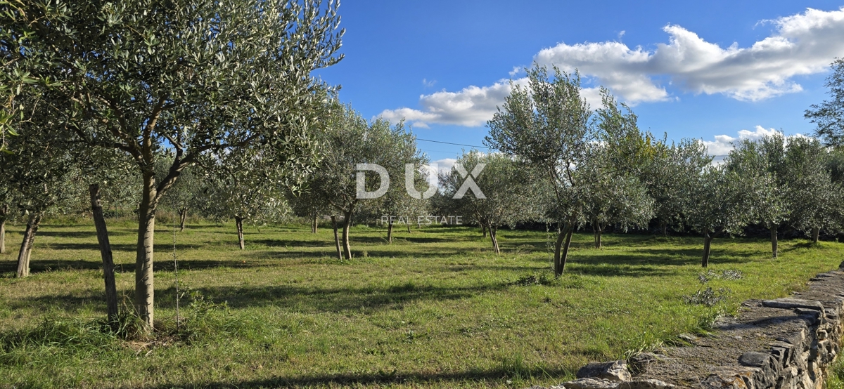 ISTRA, POREČ - Zemljišče za gradnjo dveh hiš v bližini Svetega Lovreča - mir in pristnost Istre