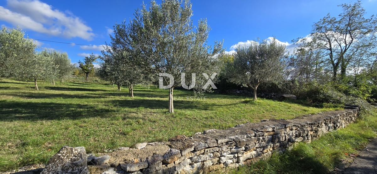 ISTRA, POREČ - Zemljišče za gradnjo dveh hiš v bližini Svetega Lovreča - mir in pristnost Istre