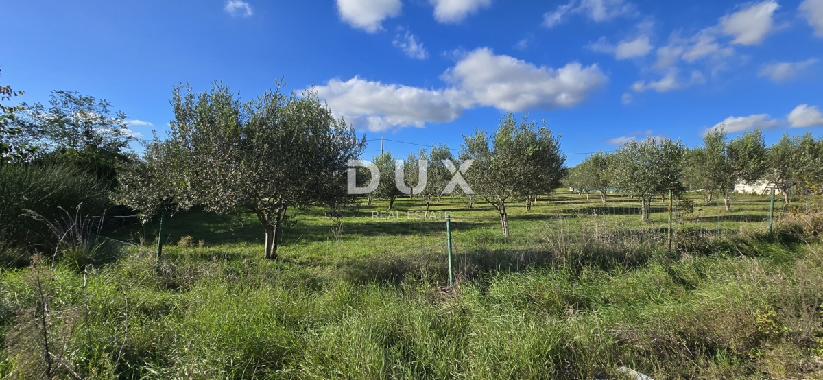 ISTRA, POREČ - Zemljišče za gradnjo dveh hiš v bližini Svetega Lovreča - mir in pristnost Istre