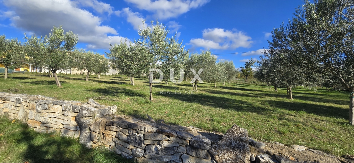 ISTRA, POREČ - Zemljišče za gradnjo dveh hiš v bližini Svetega Lovreča - mir in pristnost Istre