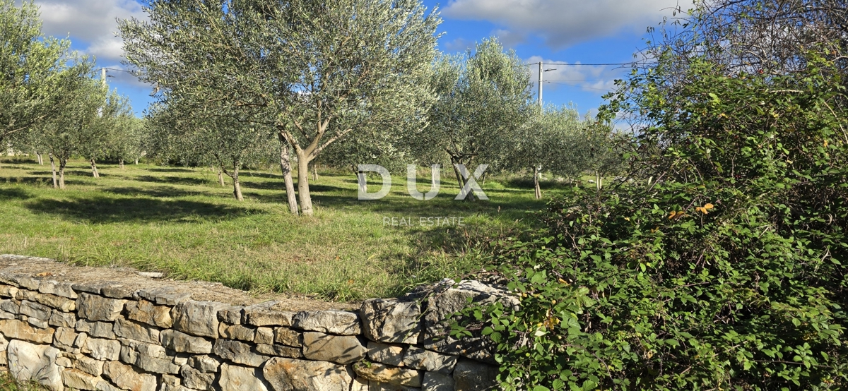 ISTRA, POREČ - Zemljišče za gradnjo dveh hiš v bližini Svetega Lovreča - mir in pristnost Istre