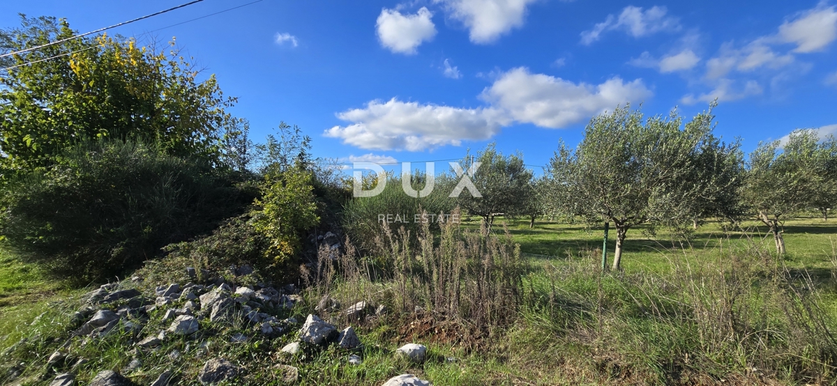ISTRA, POREČ - Zemljišče za gradnjo dveh hiš v bližini Svetega Lovreča - mir in pristnost Istre