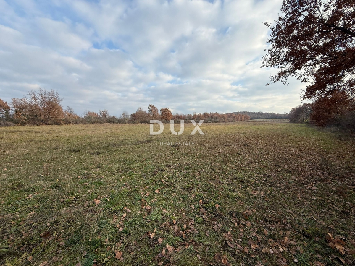 ISTRA, POREČ - Prostorno kmetijsko zemljišče